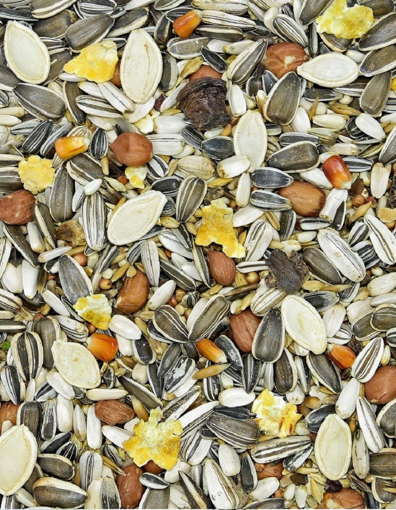 PD zmes pre veľké papagáje s orechmi