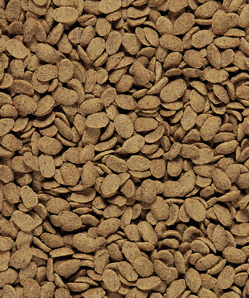 p15 original granule