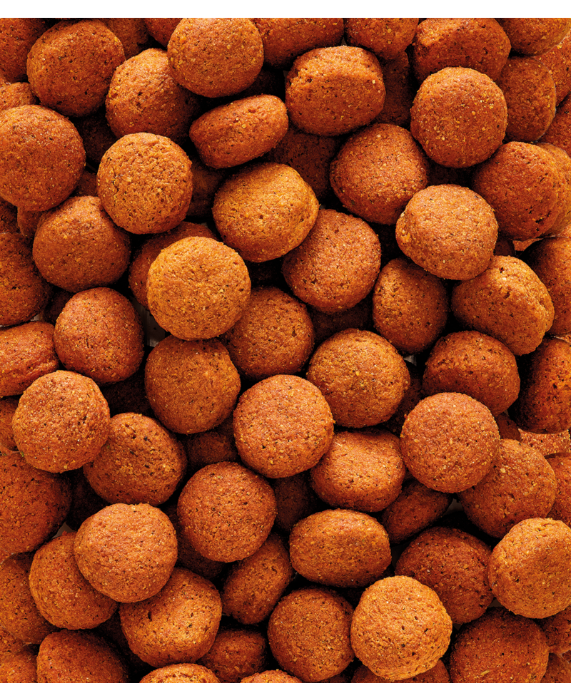 VL NutriBird H16- 10 kg